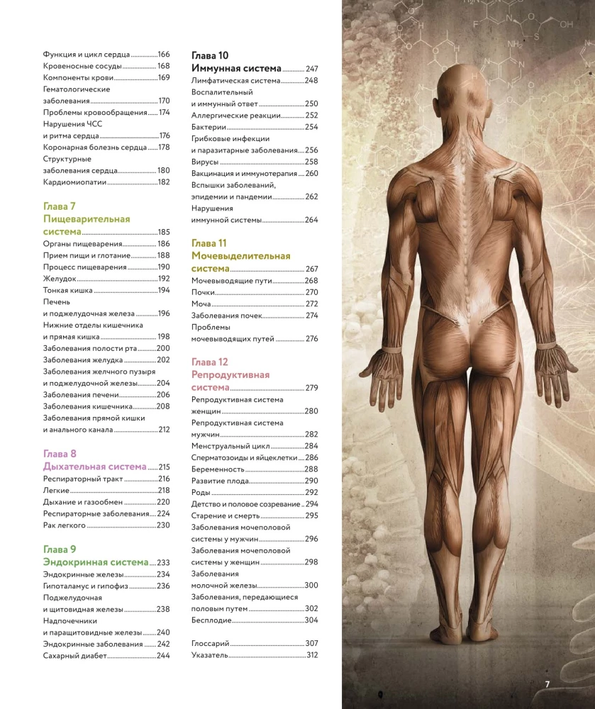 Anatomia człowieka. Wizualny przewodnik po wszystkich systemach organizmu: norma i patologie